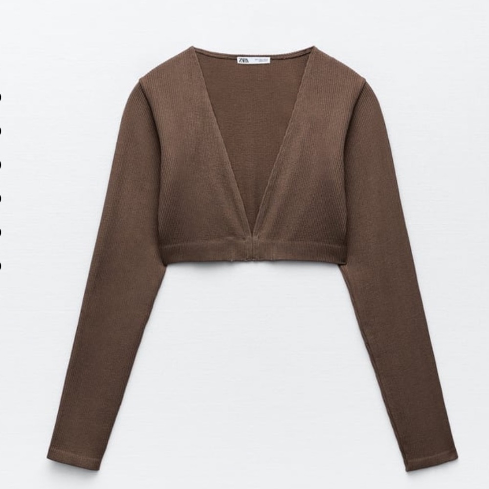Zara Longsleeve crop top in brown